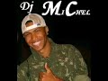 Dj michel (Muleke travesso)