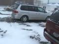 Loveable Pets.wmv