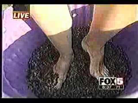 Newscaster Bails Hard