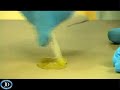 West System G/Flex Epoxy Resin