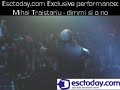Mihai Traistariu - Dimmi si o no