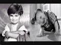 New Life- A Unique Stephanie McMahon Fic