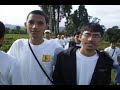 semut 2008-1