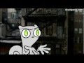 Gay Marriage : Foamy The Squirrel