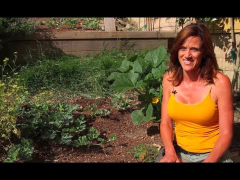 how to grow watermelon