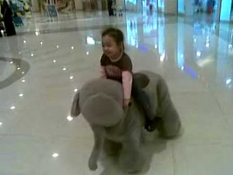 Video041.mp4
