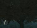 videos de Niko in a Tree