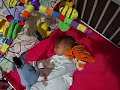 New cot and new friends