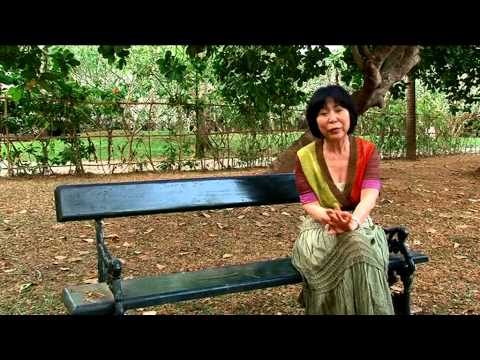 how to travel in india
