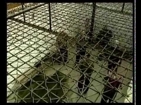 Ютуб смотреть видео медицина