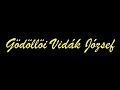 G�d�ll�i Vid�k J�zsef (archiv felv�tel cig�nyzene)