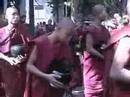 Burmese Monks Burmese Monks