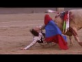 Matador Gored By Bull Through The Neck And Throat Matador in hospital after horrific goring Spanish matador Julio Aparicio was recovering in hospital on Saturday after suffering a horrific goring during a bullfight in Madrid. The half-ton bull caught the torero under his chin after he lost his footing and stumbled while executing a pass with his red cape at the Spanish capital's packed bullring. The horn of the animal tore into the bullfighter's throat and emerged through his mouth in a dramatic goring on Friday evening that had the crowd screaming in horror. The pink-stockinged, sequined matador was lifted into the air and then dropped to the sand. The bull backed away after it was distracted by fellow matadors who dashed to the rescue. The 41-year-old struggled to his feet, staggered a few yards, spluttering blood and was then carried from the ring and into the medical ward at the Las Ventas arena. He later underwent six hours of surgery at the October 12 hospital in Madrid where doctors performed an emergency tracheotomy and worked to reconstruct his throat, jaw, tongue and roof of the mouth. 