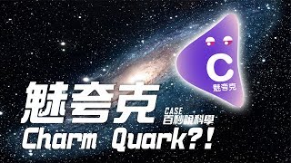 【百秒說科學】什麼是魅夸克 (Charm Quark)?