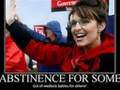 sarah palin attack ad