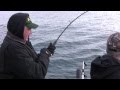 Homer Alaska Winter Feeder King Salmon Fishing ...