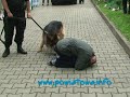 VII Spotkanie Rodzin i Przyjaciół DPS