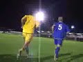 AFC Wimbledon Mascot Stockers