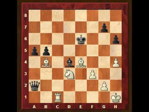 chess chess