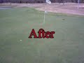 Backyard Putting Greens/Golf