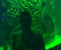 you  tube  tio 2, semari  y  tona
