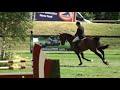 Premier de Falaise