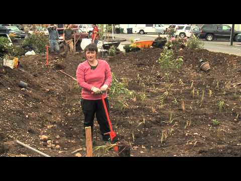 garden video - Building a Rain Garden: Keeping Our Pacific Northwest Waters Clean. In this 32-minute video, you'll learn the important steps to follow to site, design, cons...