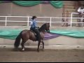 2004 Asheville Piedmont AO Performance Geldings class