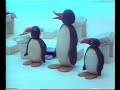 Pingu at School