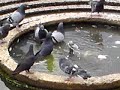 Sony Ericsson G900 video sample 3