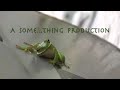 Search Video