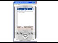 ERP Client: Microsoft Dynamics AX 4