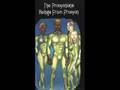  - Piczo Movies Video