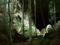 Rio Frio Caves