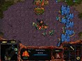 starcraft-combatex-zvp-g118-p1-wcommentary.html