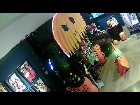 動画