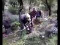 videos de caccia grossa