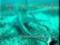 Giant Octopus attacks Submarine
