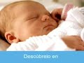 En el vientre materno - 2/11