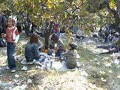 yumurta bayram? iskenderun ak�al?
