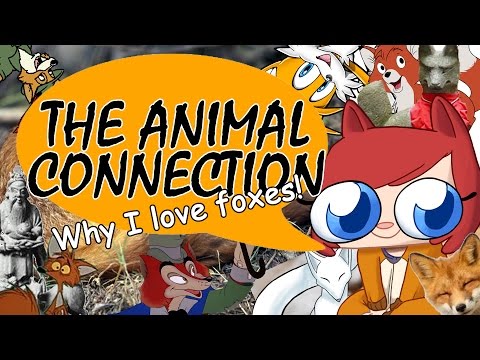 why - WELCOME TO THE FOX FANDOM (it's a real thing you guys shh)! Today we discuss why I love foxes, the lore that surrounds them and what the connotations are for having a