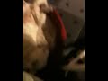 Maddie sleeping