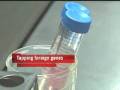Designer babies now? Sperm bank opens