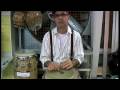 On2, On1, On CLAVE, On CONGA, ONLINE SALSA DANCING STEPS ( VIDEO#1)
