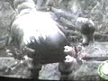 ashroath video [re4 glitch: como hacer la caida infinita?]