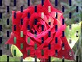 mehmet-g-ke-yaral-gnlm-.html