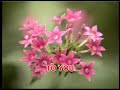 Cherish The Treasure of You