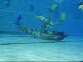 BUWH/filles - Nemo  9-12-2007