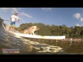 Surfing Dog Spectacular Noosa, Australia