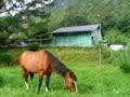 Tierras Altas de Boquete